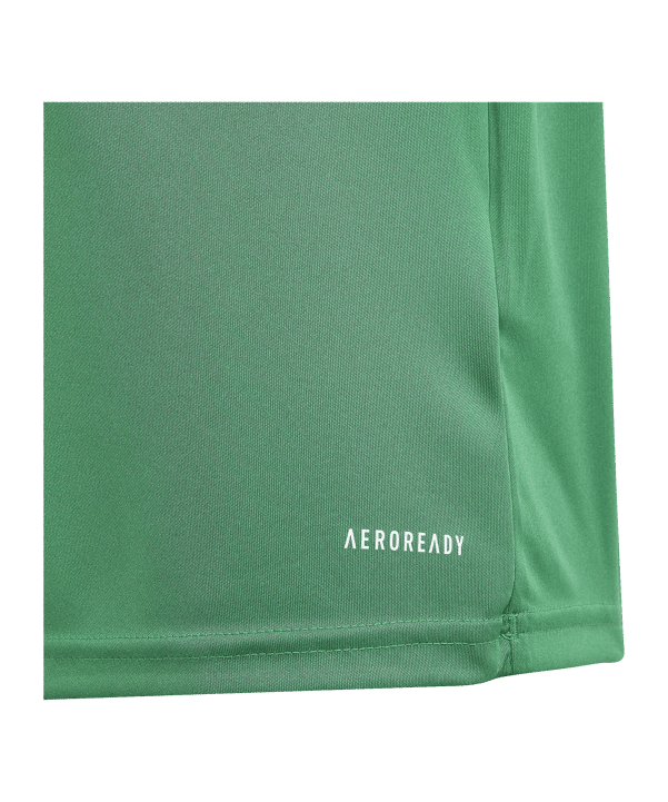 adidas Fortore 23 Trikot Kids Grün Weiss - gruen