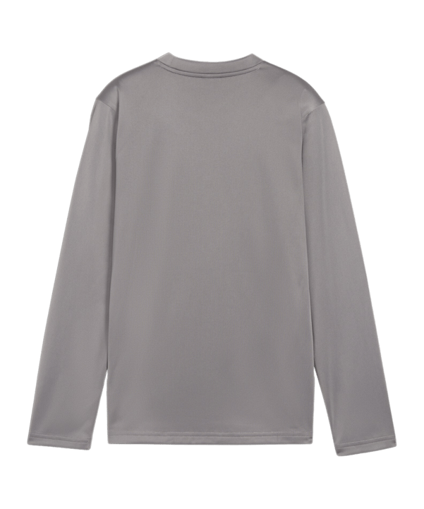 PUMA teamGOAL Training Sweatshirt Kids Grau F13 - grau