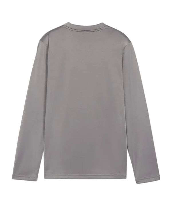 PUMA teamGOAL Training Sweatshirt Kids Grau F13 - grau