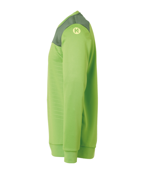 Kempa Emotion 2.0 Trainingstop Sweatshirt Kids F07 - gruen