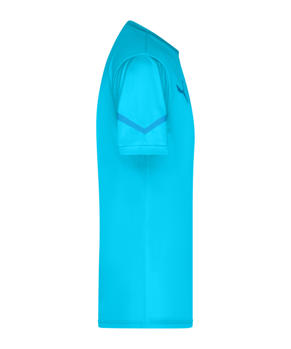 PUMA teamFLASH Trikot Blau F02 - blau