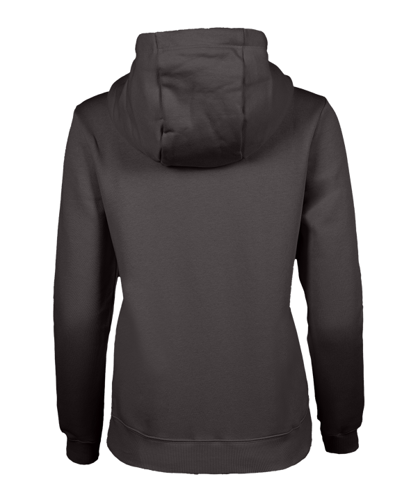 Nike Park 26 Hoody Damen Grau F071 - grau