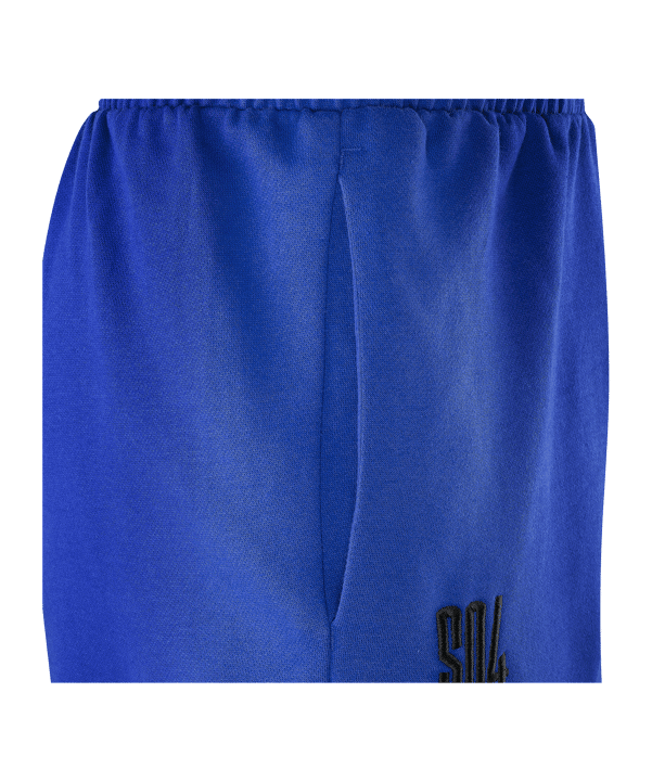 adidas FC Schalke 04 Essentials Short Blau - blau