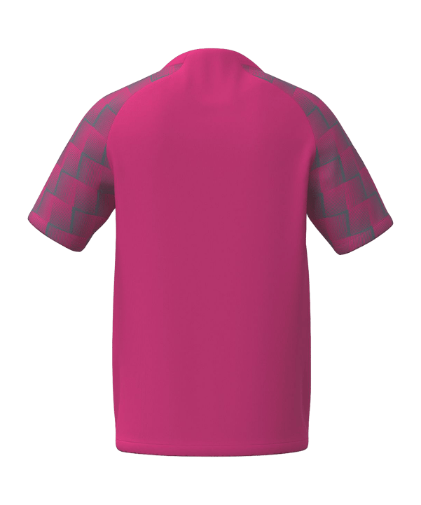 Erima Evo Star Trikot Kids Pink Grau - roze