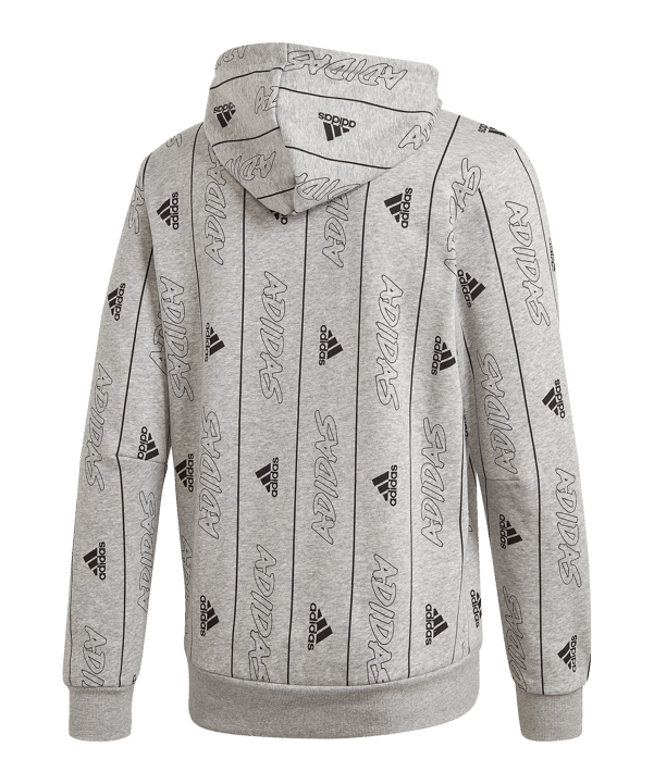 adidas Must Haves Graphic Hoody Grau - grau