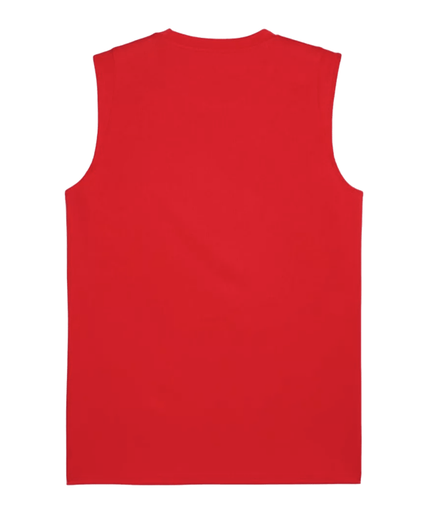 PUMA teamCUP Training Tanktop Rot F01 - rot
