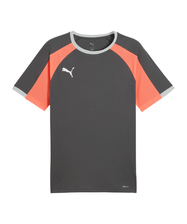 PUMA Individualliga Maglietta Grigio C10 - grigio