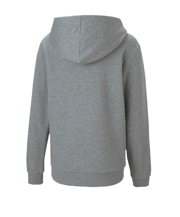 PUMA teamGOAL 23 Casuals Kapuzenjacke Kids F33 - grau