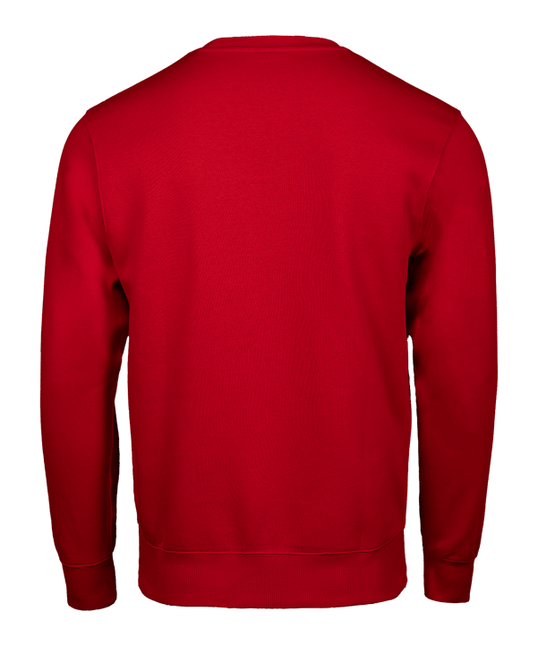 Nike Park 26 Swoosh Sweatshirt Kids Rot F657 - rot