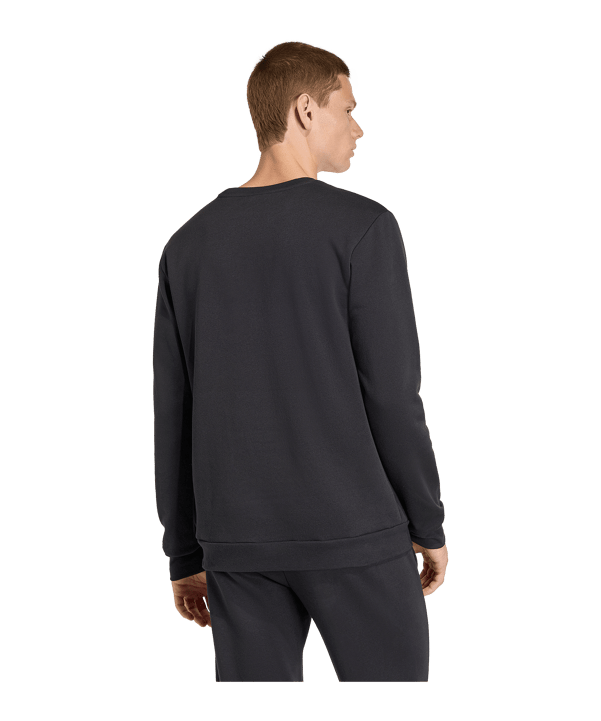 adidas Entrada 26 Sweatshirt Schwarz - schwarz