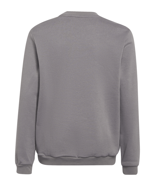 adidas Entrada 22 Sweatshirt Kids Grau - grau
