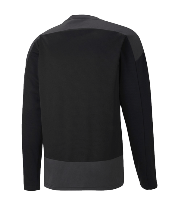PUMA teamGOAL 23 Training Sweatshirt Schwarz F03 - schwarz