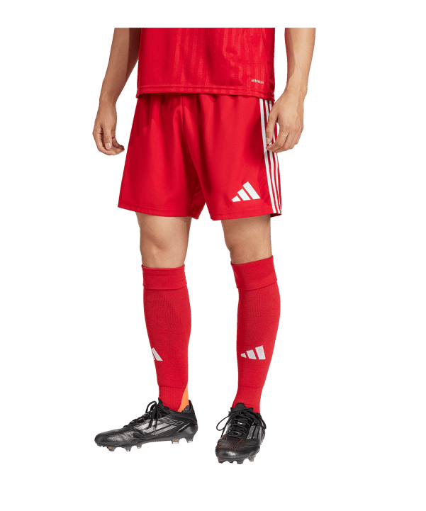 adidas Tastigo 25 Short Rot - rot