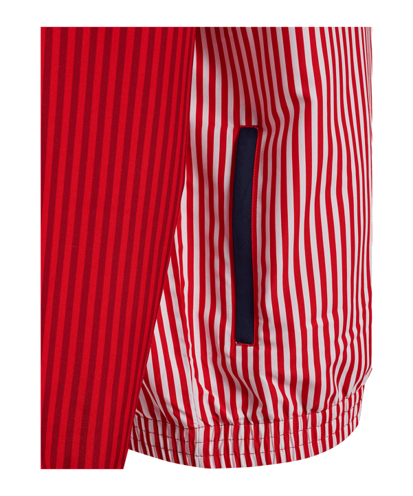 hummel DBU FAN 86 Replica Micro Jacke 2026 Rot F3365 - rot