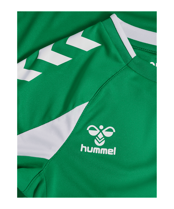 hummel Core 2.0 Maglia maniche lunghe Kids Verde C6129 - verde