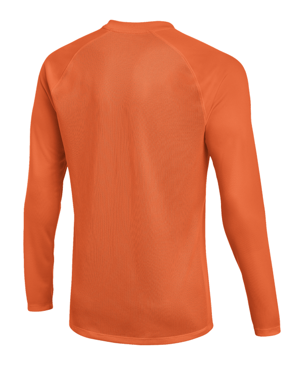 Nike Park VIII Trikot langarm Orange F819 - orange