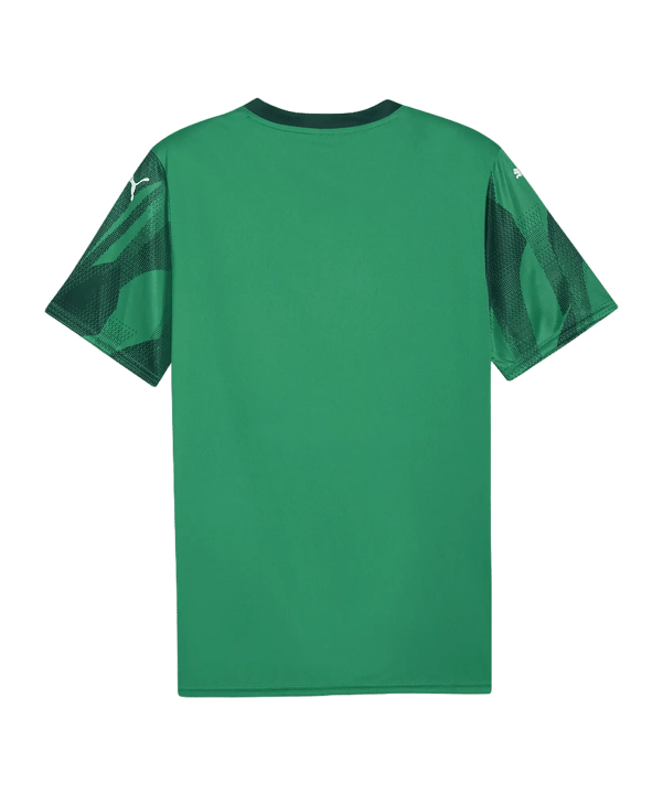 PUMA teamFINAL Graphic Maillot Vert C05 - vert
