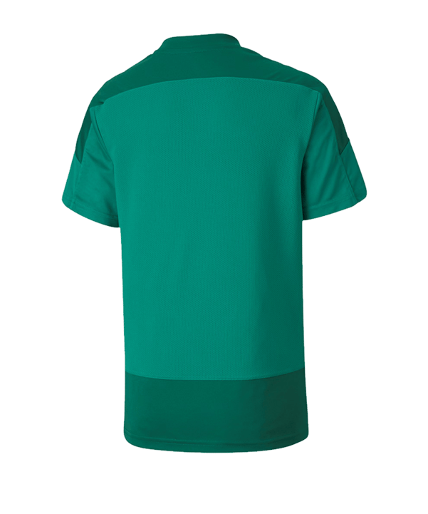 PUMA teamGOAL 23 Training Trikot Kids Grün F05 - gruen