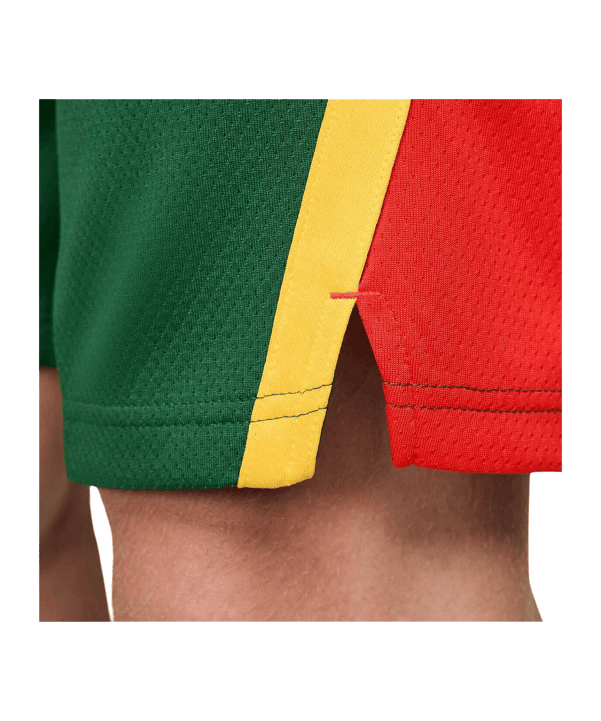 Nike Litauen Limited Road Short Olympia 2024 Grün F341 - gruen