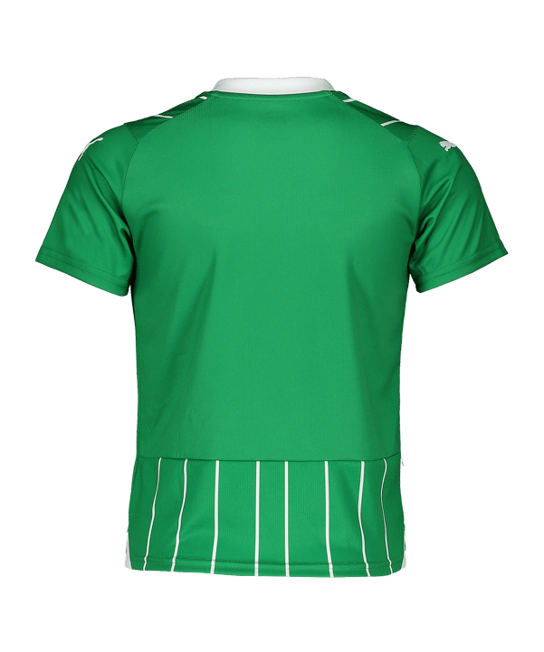 PUMA Trikot Grün F01 - gruen
