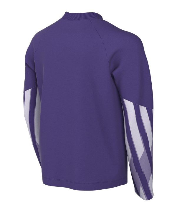 Nike Park V Trikot langarm Kids Lila F507 - lila