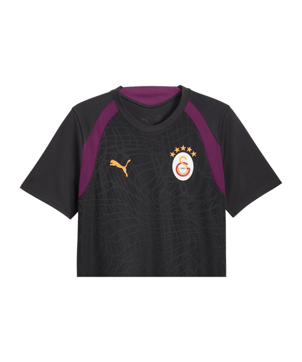 PUMA Galatasaray Istanbul Training Trikot Grau F05 - grau