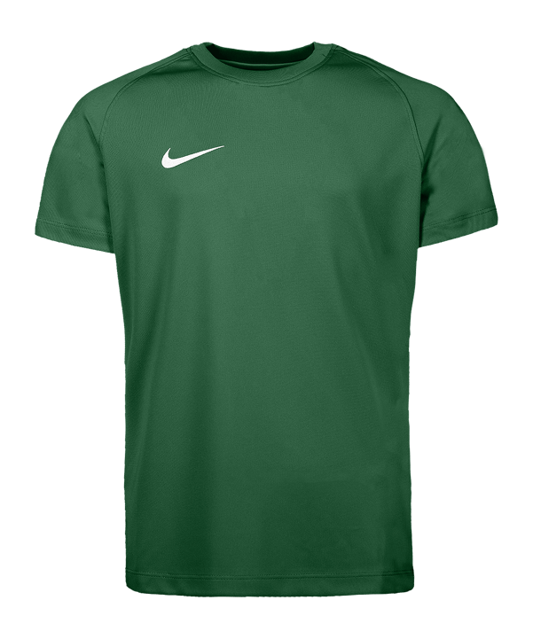 Nike Park VIII Trikot Kids Grün F302 - gruen