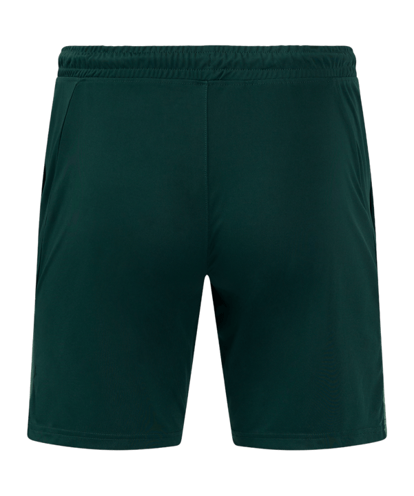 Castore Feyenoord Rotterdam Pro Players Short Kids Grün F097 - gruen