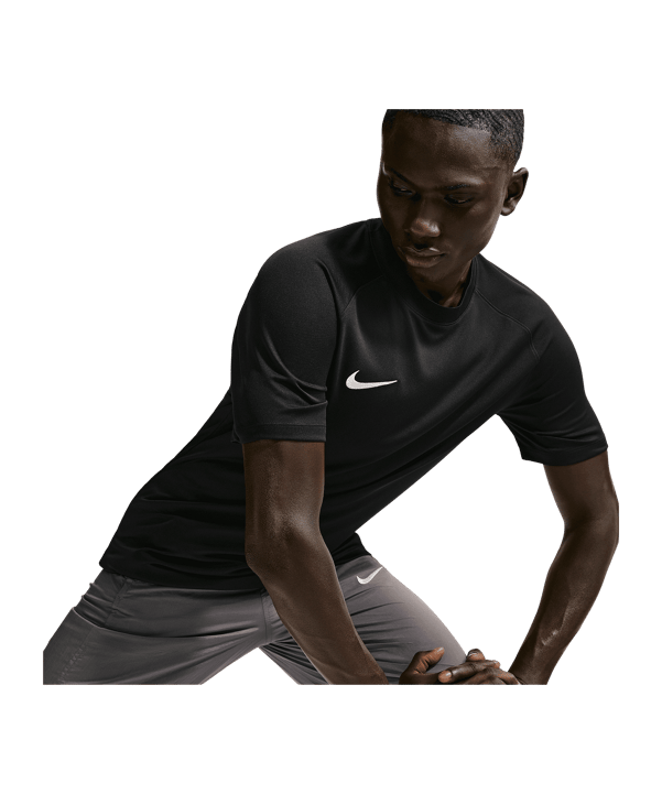 Nike Park VIII Trikot Schwarz F010 - schwarz