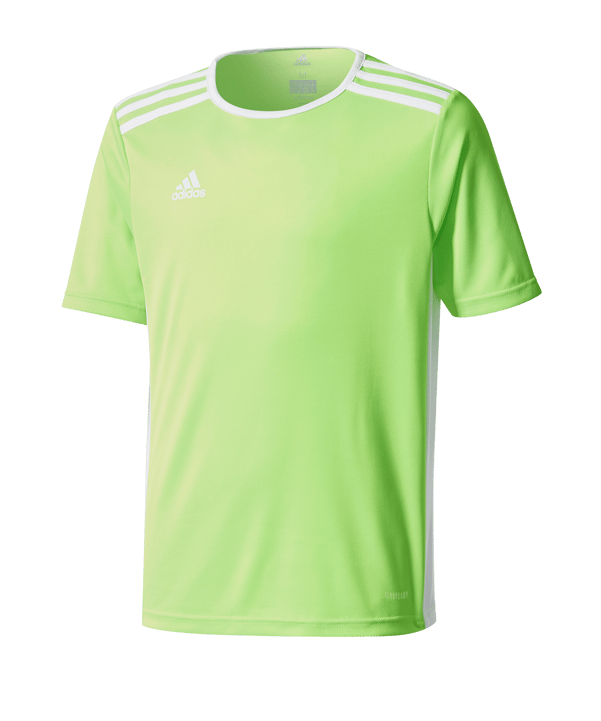 adidas Entrada Trikot 18 Kids Hellgrün Weiss - gruen