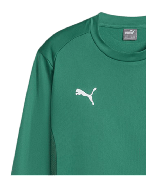 PUMA teamGOAL Training Sweatshirt Kids Grün F05 - gruen