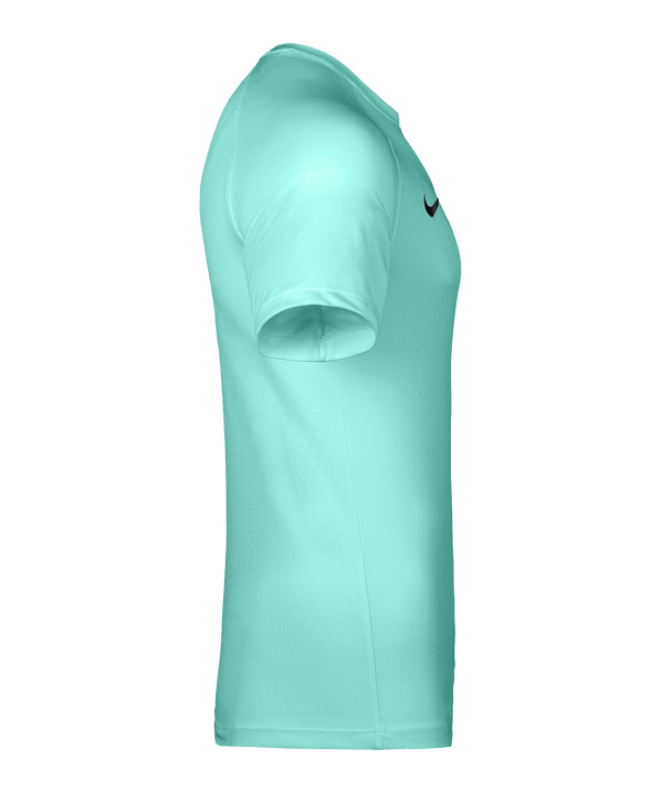 Nike Park VIII Trikot Türkis F354 - tuerkis