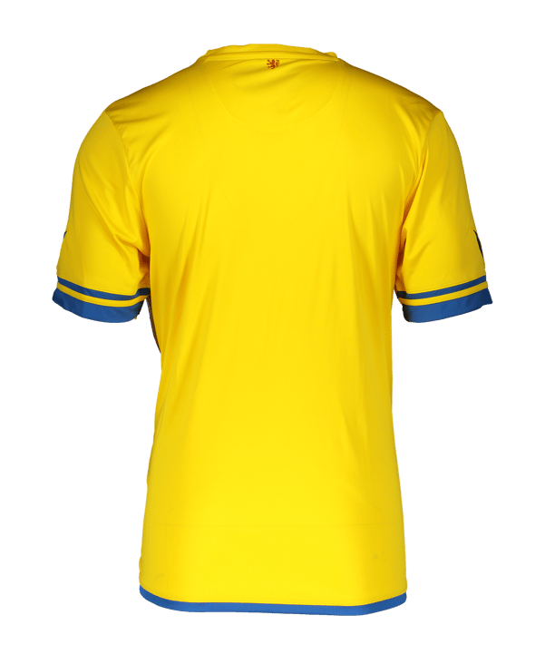 Erima Eintracht Braunschweig Trikot Home 2020/2021 Gelb - gelb