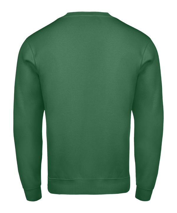 Nike Park 26 Sweatshirt Grün F302 - gruen