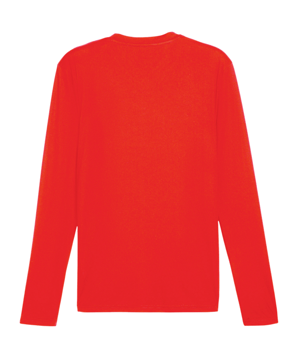 PUMA teamGOAL Baselayer Longsleeve Rot F01 - rot