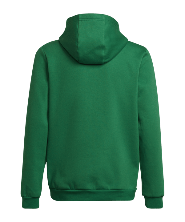 adidas Entrada 22 Hoody Kids Grün - gruen