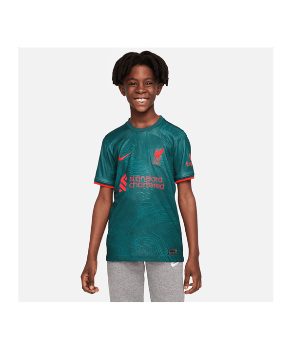 Nike FC Liverpool Trikot UCL 2022/2023 Kids Grün F377 - gruen