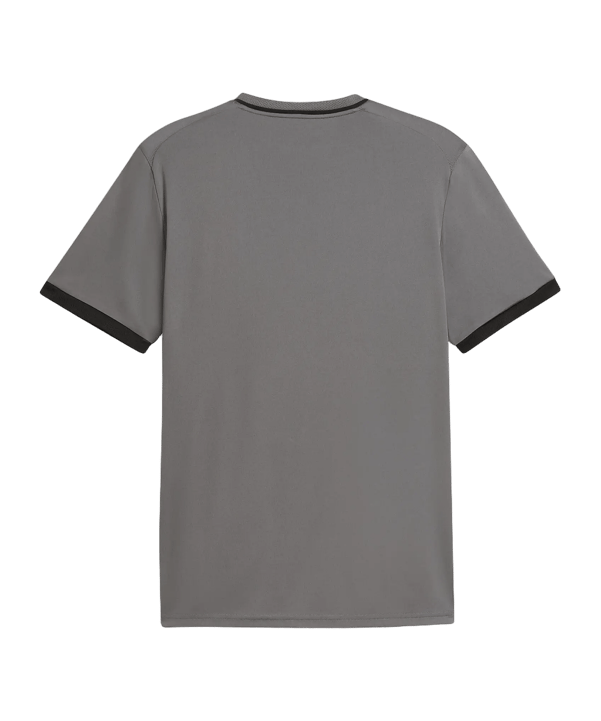 PUMA teamLIGA26 Striped Trikot Grau F13 - grau
