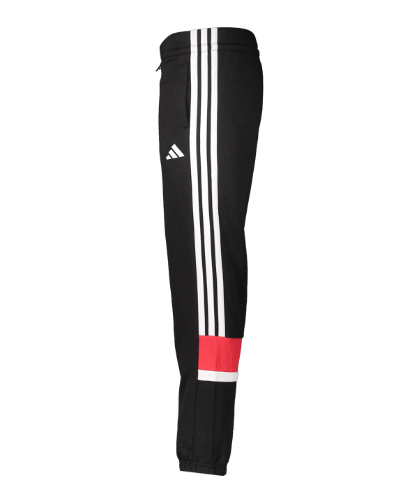 adidas 1. FC Nürnberg Trainingshose Schwarz - schwarz