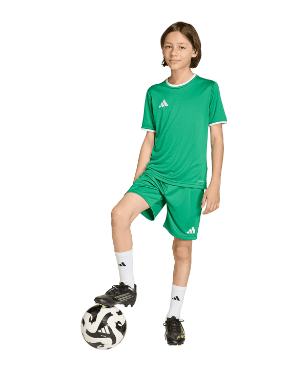 adidas Entrada 26 Trikot Kids Grün - gruen