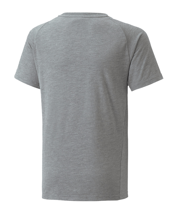 PUMA NJR Evostripe T-Shirt Kids Grau F05 - grau