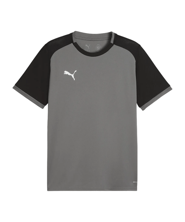 PUMA teamLIGA26 Matchday Trikot Grau F13 - grau