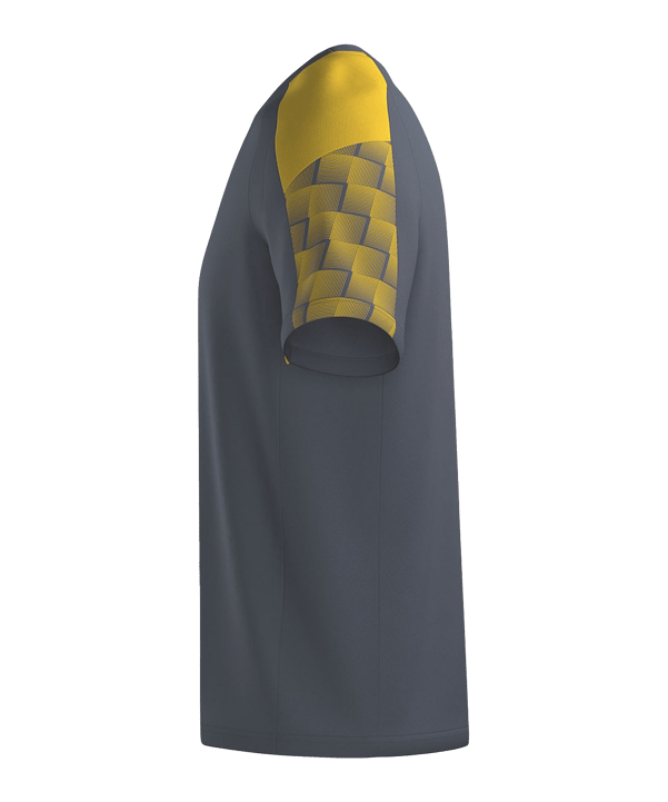 Erima Evo Star T-Shirt Grau Fslategreygelb - grau