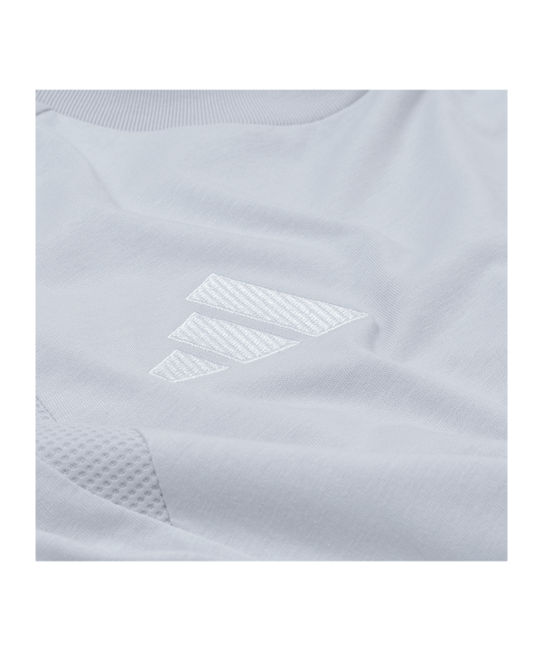 adidas Fortuna Düsseldorf Présentation T-Shirt Gris - gris