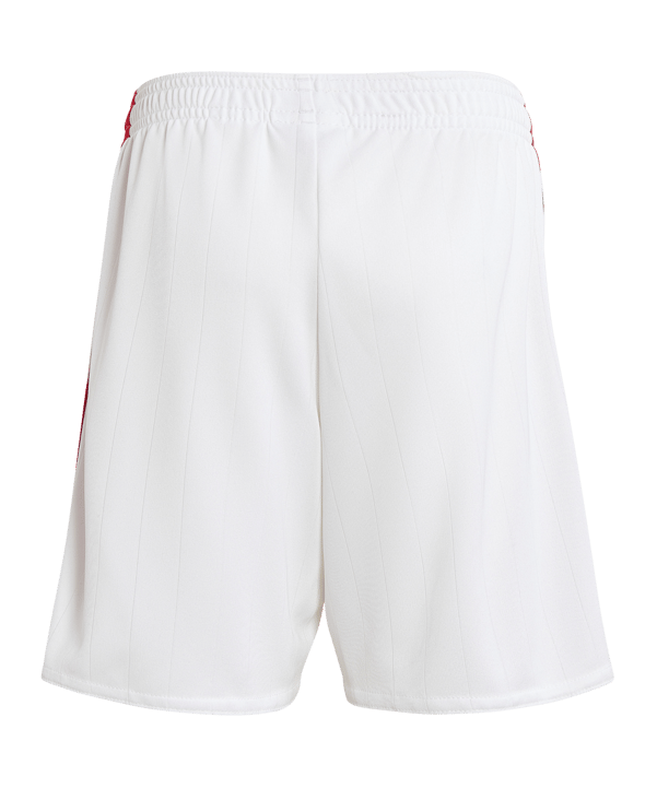 adidas Ajax Amsterdam Minikit Home 2022/2023 Rot - rot