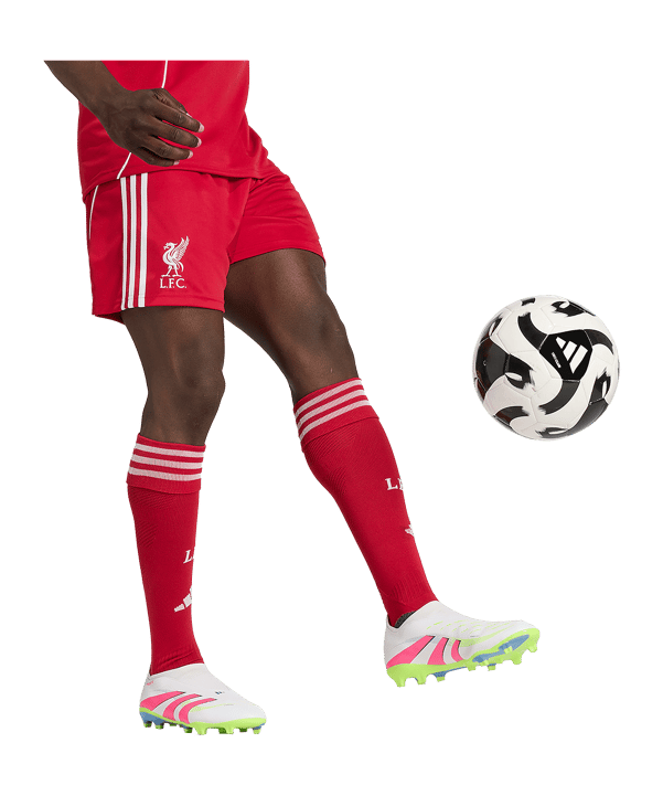 adidas FC Liverpool Short Home 2025/2026 Rot - rot