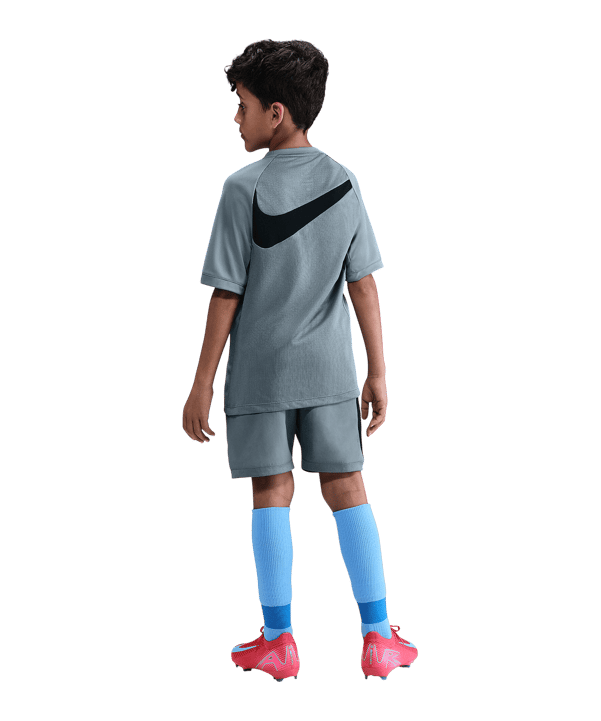 Nike Academy 25 Trikot Kids Grau F065 - grau