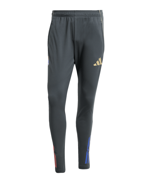 adidas Olympique Lyon Trainingshose Grau - grau