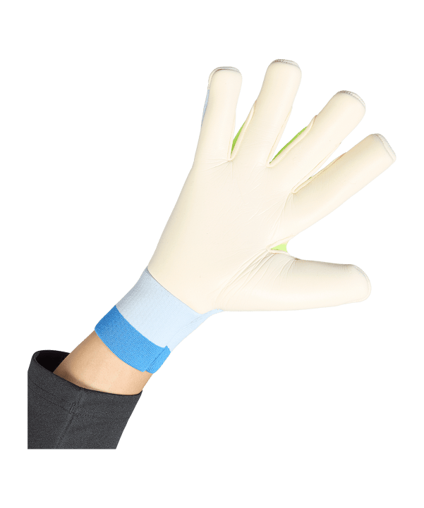 adidas Predator Pro Hybrid Cut Torwarthandschuhe Blau - blau