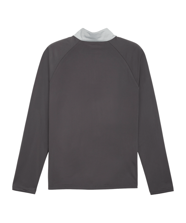 PUMA Individualliga 1/4 Zip Sweatshirt Grau F10 - grau